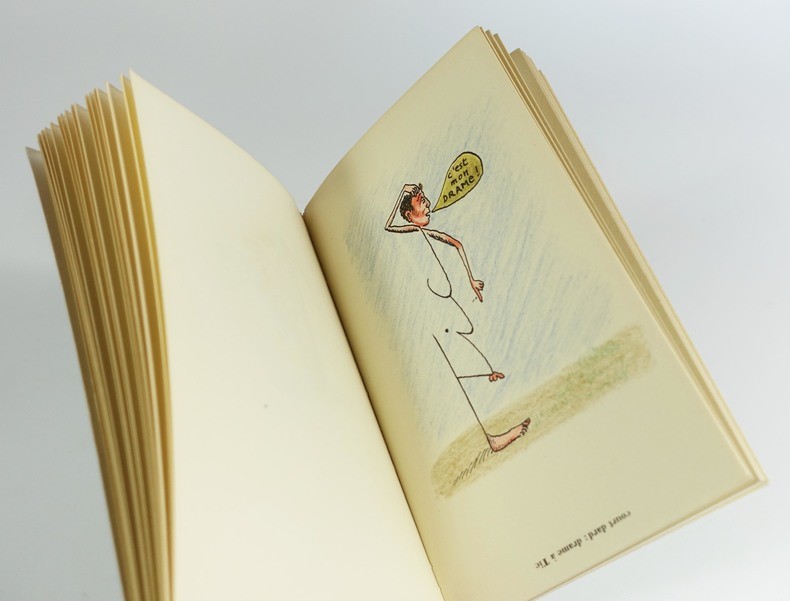 LAID POULET – Image 3