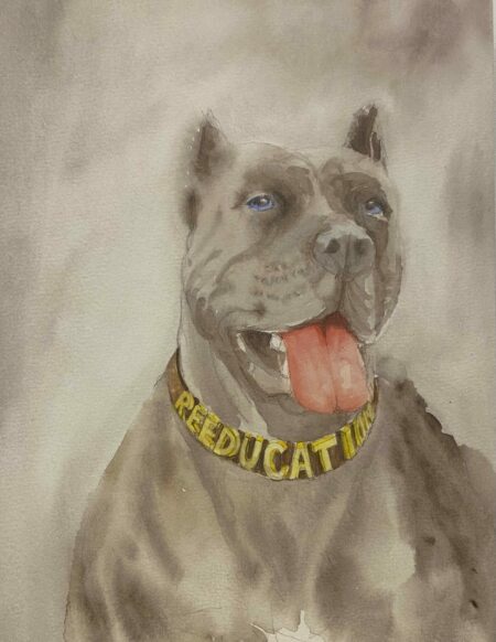 Juan PEREZ AGIRREGOIKOKOA, Re-education (pop-ups d'UG)